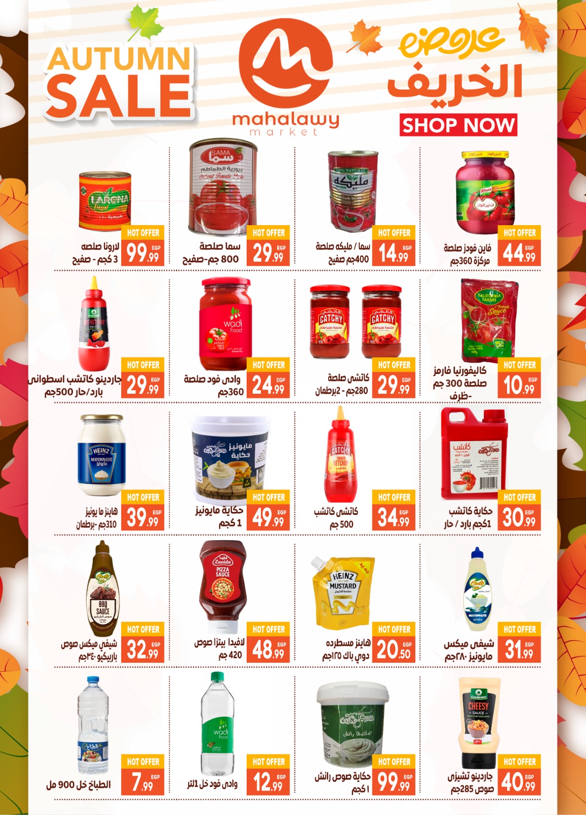 el-mahallawy-sons offers from 23oct to 2oct 2025 عروض اولاد المحلاوى من 23 أكتوبر حتى 2 أكتوبر 2025 صفحة رقم 17